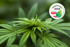 Cannabis - Arzneipflanze 2018