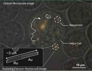 Unter dem Mikroskop: Nanomaschinen im Inneren von Zellen. Bild: psu.edu