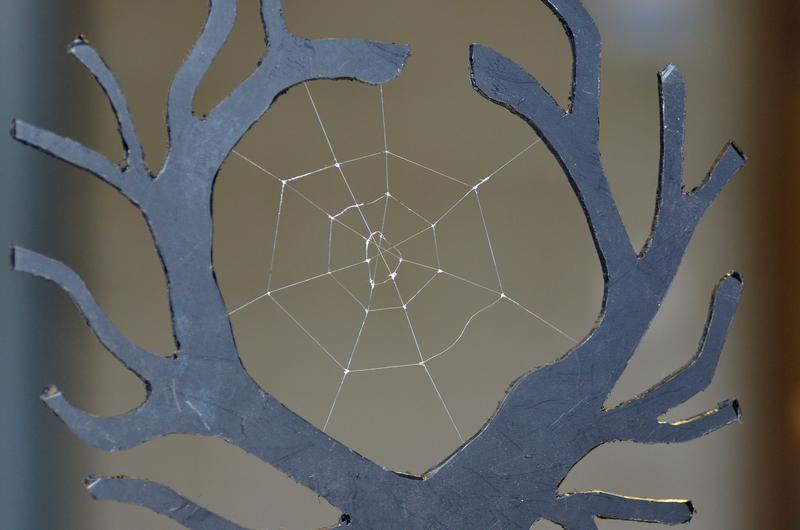 Spinnennetz aus biotechnologisch hergestellten Spinnenseidenproteinen.Quelle: Foto: Gregor Lang, Universität Bayreuth (idw)