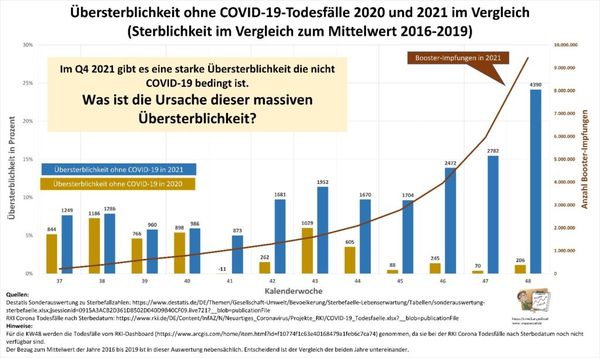 Bild: dieBasis