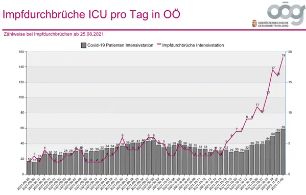 Bild: Wochenblick / Eigenes Werk