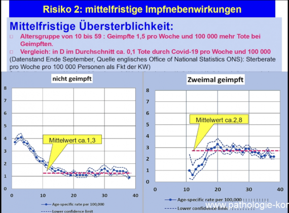 Bild: Screenshot: Pathologie-Konferenz/Wochenblick/Eigenes Werk