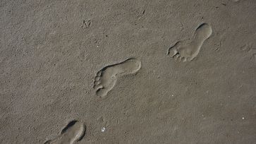 Spuren, Fußabdrücke (Symbolbild)