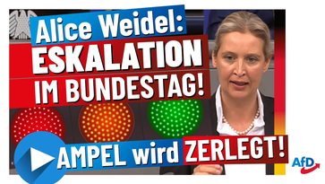 Bild: AfD Deutschland