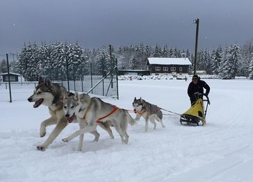 Mathias Klatt beim Training in Frauenwlad. Bild: Anke Schiller-Mönch