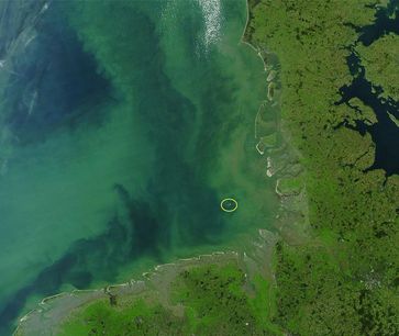 Die Algenblüte in der Deutschen Bucht breitet sich vor der ost- und westfriesischen Küste aus.
Quelle: NASA images courtesy Jeff Schmaltz, MODIS Rapid Response Team, Goddard Space Flight Center (idw)