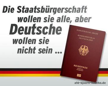 Bild: Screenshot Internetseite: "https://afd-bjoern-hoecke.de" / Eigenes Werk