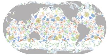 Meeresplankton weist eine erstaunliche Fülle an Formen und Arten aus.
Quelle: ETH Zürich / Meike Vogt und Jorge Martinez-Rey (idw)