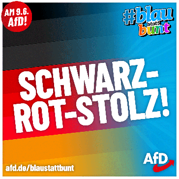 Bild: AfD Deutschland