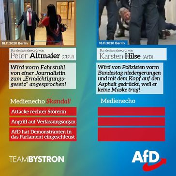 Bild: AfD Deutschland