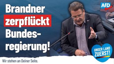 Bild: AfD Deutschland