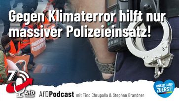 Bild: AfD Deutschland