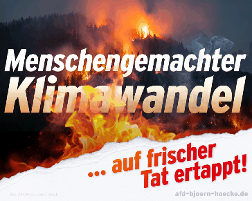 Bild: Screenshot Internetseite: "https://afd-bjoern-hoecke.de" / Eigenes Werk