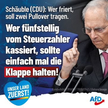 Bild: AfD Deutschland