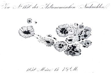 Hochgenaue Bleistiftzeichnung einer Gruppe von Sonnenflecken von Samuel Heinrich Schwabe aus dem Jahr 1858. Veröffentlicht in: Astronomische Nachrichten/AIP