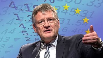 Prof. Dr. Jörg Meuthen (2020)