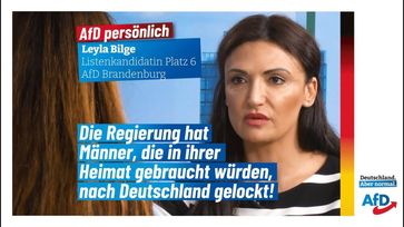 Bild: AfD Deutschland