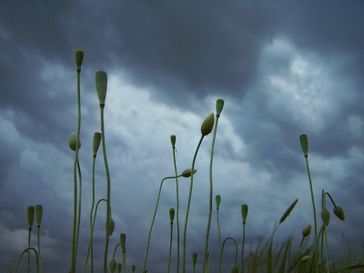 Gewitterwolken (Symbolbild)