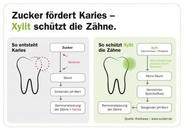 Zahngesunder Zucker: So schützt Xylit vor Karies. Bild: "obs/Xucker"