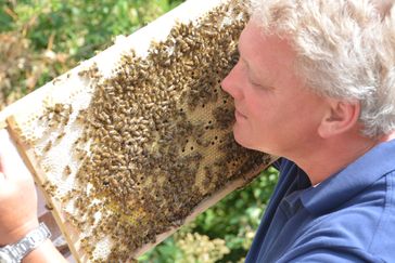 Derzeit boomt die Imkerei wie schon lange nicht mehr. Der Grund: Bienen fäszinieren. / "Umwelt - Biene - Honig: Wir wollen es - natürlich!" / Deutsche Imkereien laden zum Besuch ein / Bild: "obs/Deutscher Imkerbund e. V./Lothar Rühl"