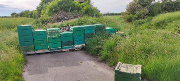 Übrig gebliebene Bienenstöcke Bild: Polizei