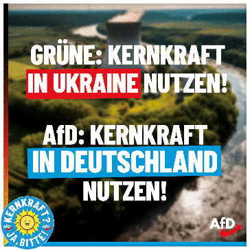 Bild: AfD Deutschland