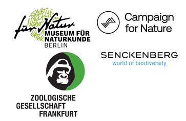 Aus Anlass der in der kommenden Woche in Trondheim stattfindenden Konferenz zur Biodiversität (9th Trondheim Conference on Biodiversity) ruft eine Allianz von vier großen Organisationen (Naturschützer, Forschungseinrichtungen und Museen) die Bundeskanzlerin auf, den Kampf gegen das Artensterben zur Chefsache zu machen. Bild: "obs/Wyss Campaign for Nature"