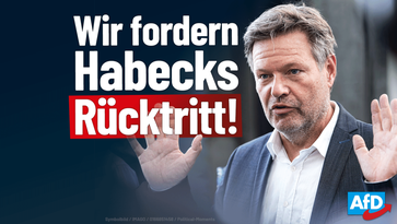 Bild: AfD Deutschland