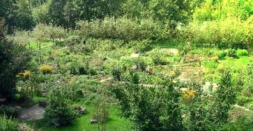 Ein Permakultur Garten / Landwirtschaft (Symbolbild)