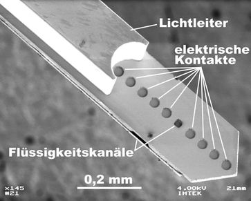 siehe Bild
Quelle: Quelle: IMTEK / Universität Freiburg (idw)