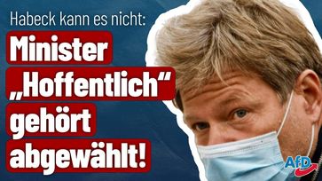 Bild: AfD Deutschland