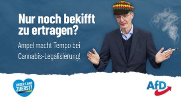 Bild: AfD Deutschland