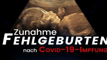 Bild: Screenshot Video: "Zunahme der Fehlgeburten nach Covid-19-Impfung" (www.kla.tv/20409) / Eigenes Werk