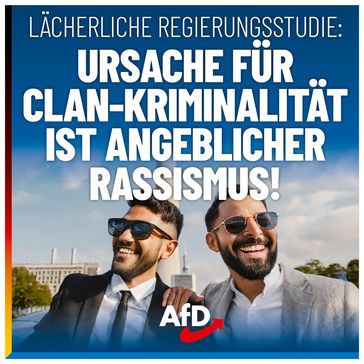 Bild: AfD Deutschland