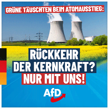 Bild: AfD Deutschland