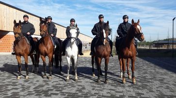 Pferde und Reiter fühlen sich in der neuen und modernen Reiterstaffel in Stahnsdorf wohl.