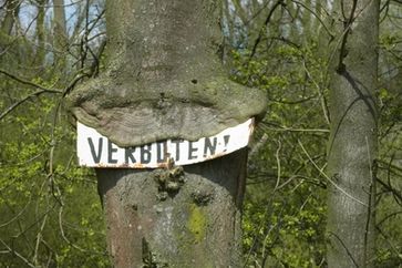 Ein Problem? Einfach verbieten. Zwar bringen Verbote nichts - es ist dann aber möglich jene zu Strafen die es nicht einhalten (Symbolbild)