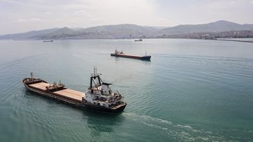 Ein Frachtschiff im Meer, die Türkei (Archivbild) Bild: bfk92 / Gettyimages.ru