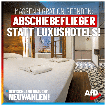 Bild: AfD Deutschland