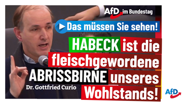 Bild: AfD Deutschland