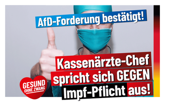 Bild: AfD Deutschland