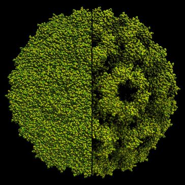 Visualisierung eines Virus mit 220.000 Atomen. Links: klassische Beleuchtung in Echtzeitcomputergrafik. Rechts: die Beleuchtung mit Ambient Occlusion macht die Oberflächenstruktur erheblich besser sichtbar.
Quelle: Universität Stuttgart/SFB 716 (idw)