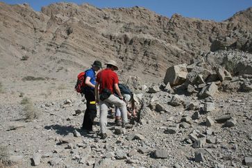 Die in den Bremer Laboren untersuchten Proben stammen aus Gesteinslagen in den Vereinigten Arabischen Emiraten, die vor 250 Millionen Jahren am Meeresboden abgelagert wurden. Quelle: Foto: D. Astratti (idw)