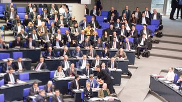 AfD-Bundestagsfraktion (2017)