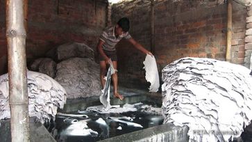 Lederproduktion in Bangladesh. Ohne Schuhe stehen Arbeiter in den Gerblaugen und atmen giftige Daempfe ein. Bild: Manfred Karremann für PETA