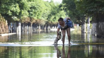 Eine Frau holt in der überfluteten Stadt Golaja Pristan im Gebiet Cherson nach der Zerstörung des Kachowka-Wasserkraftwerks einen Hund aus dem Wasser. Bild: Sputnik / RIA Nowosti