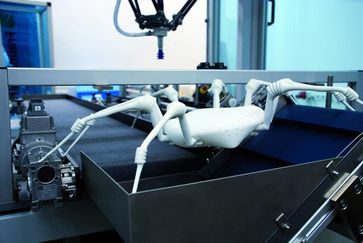 20 Zentimeter lang sind die Beine der Roboterspinne. Elastische Faltenbälge dienen als Gelenke.
Quelle: © Fraunhofer IPA (idw)