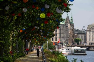 Hamburgs Sommergärten - 2500 Lampions schmücken die Bäume an der Promenade am Ballindamm an der Alster Bild: Otto Wulff BID / Zum Felde BID Fotograf: Otto Wulff BID / Zum Felde BID