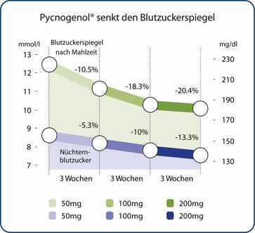 Pycnogenol® senkt den Blutzuckerspiegel
