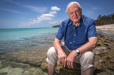 David Attenborough (2015)